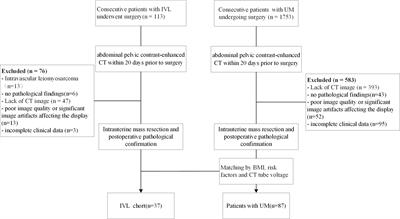 A contrast-enhanced CT-based radiomic nomogram for the differential diagnosis of intravenous leiomyomatosis and uterine leiomyoma